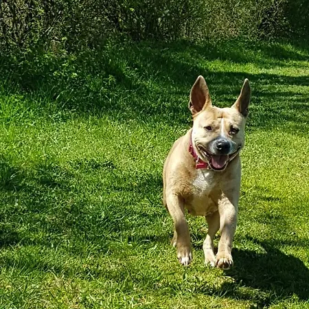 Nina's Apartamento Bad Mitterndorf