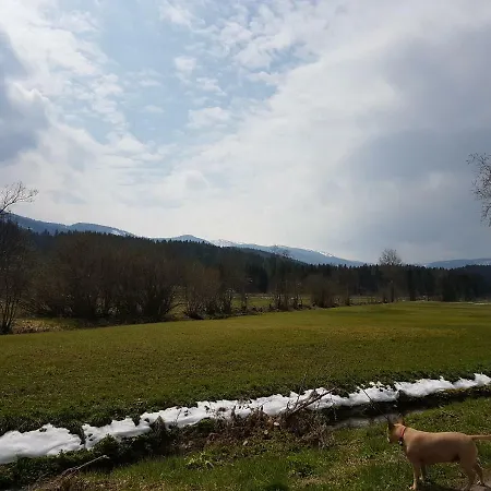 Nina's Bad Mitterndorf