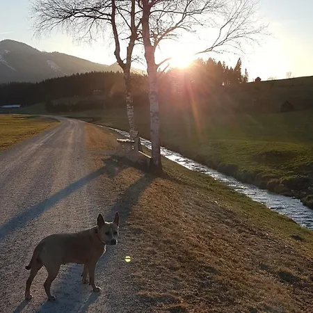 Nina's * Bad Mitterndorf