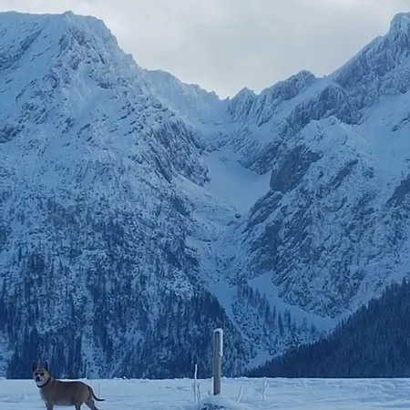 Apartamento Nina's *