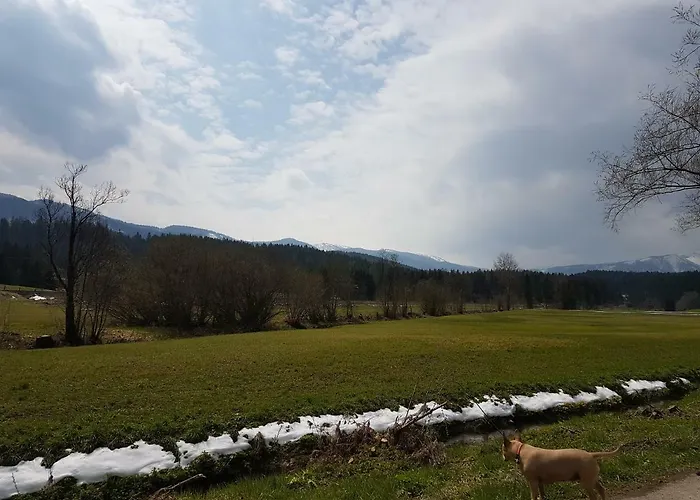 Nina's باد ميترندورف