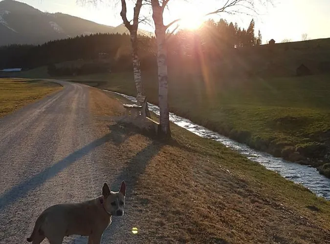 Nina's * باد ميترندورف